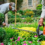 Copper Analysis in Agriculture