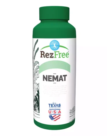 RezFree_Nemat_fpage