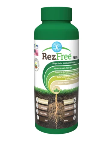 RezFree_Plus_a