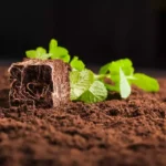 grow ORGANO NPK