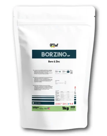 Grow BORZINO Bore & Zinc - Boron and Zinc Fertilizer