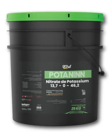 Grow POTANINN Potassium Nitrate NK 13,7-46,2 - Potassium Nitrate Fertilizer