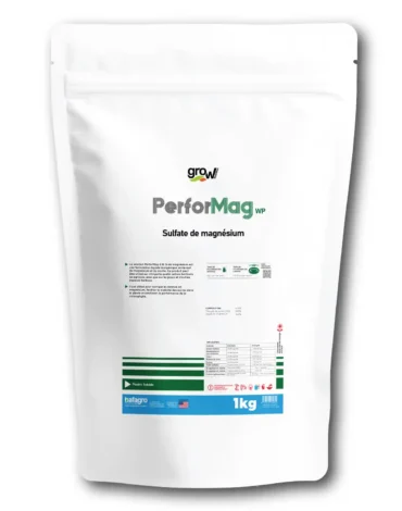 Grow PerforMag WP Magnesium Sulphate 16MgO + 32.5S - Magnesium Sulphate Fertilizer